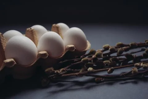 Easter holidays concept. Close up white easter eggs in carton box with willow Stock Photos