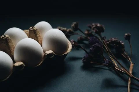Easter holidays concept. Close up white easter eggs in carton box with dry Stock Photos