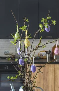 Easter holidays  concept; Tree branches decorated with easter eggs in a kitch Stock Photos
