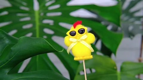 Easter. Humor, fun. Stock Footage 151418942