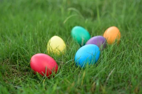 Easter hunt - colored hen eggs in a grass Stock Photos