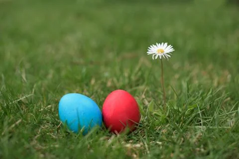 Easter hunt in grass Stock Photos