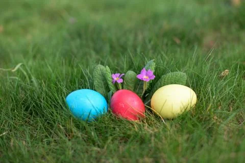 Easter hunt Stock Photos