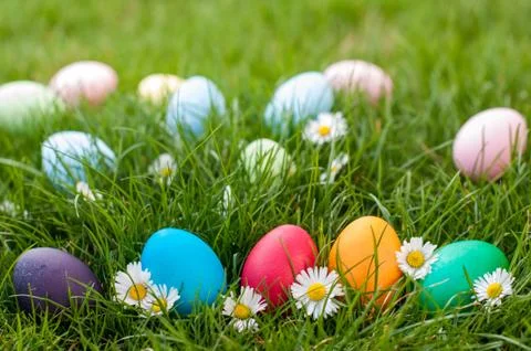 Easter Hunt Stock Photos