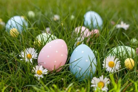 Easter Hunt Stock Photos