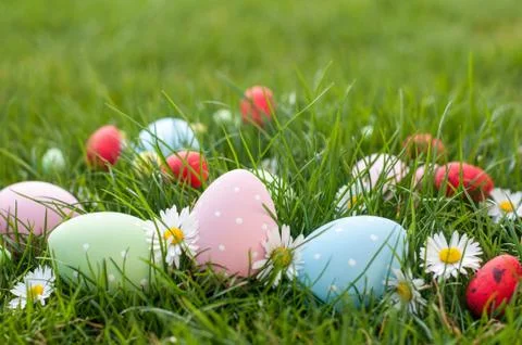 Easter Hunt Stock Photos