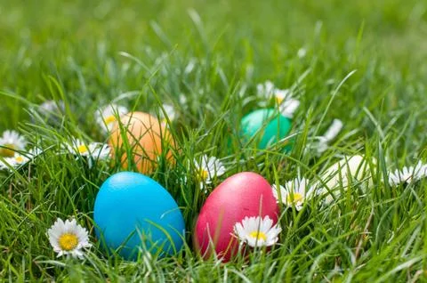 Easter Hunt Stock Photos