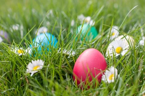 Easter Hunt Stock Photos