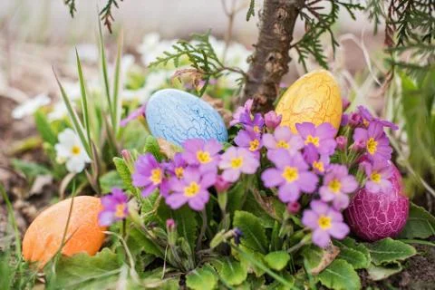 Easter hunt Stock Photos