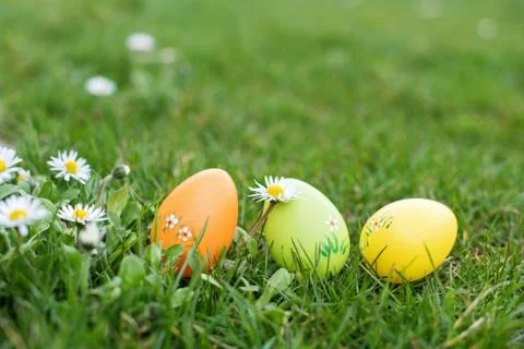 Easter hunt Stock-Fotos