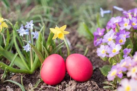 Easter hunt Stock Photos