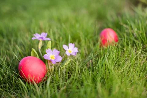 Easter hunt Stock Photos