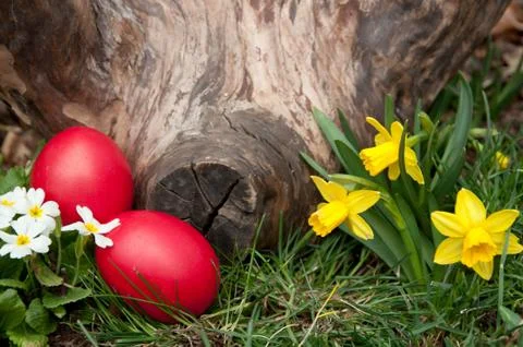 Easter hunt Stock Photos
