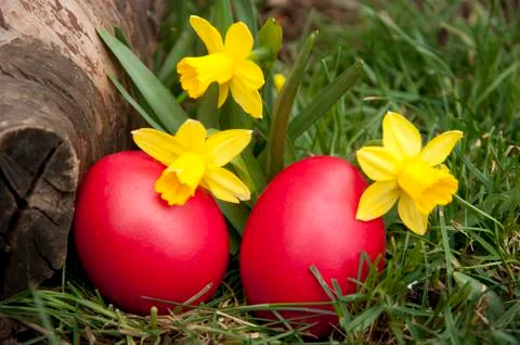 Easter hunt Stock Photos