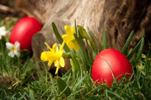 Easter hunt Stock Photos