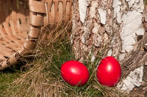 Easter hunt Stock Photos