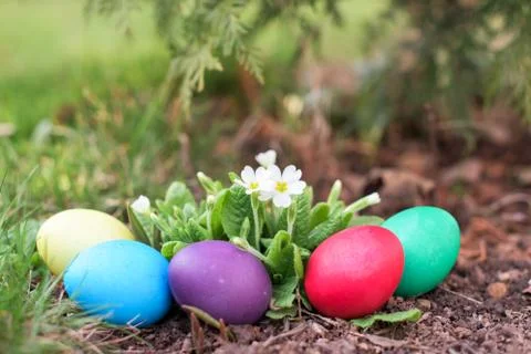 Easter hunt in spring Foto stock