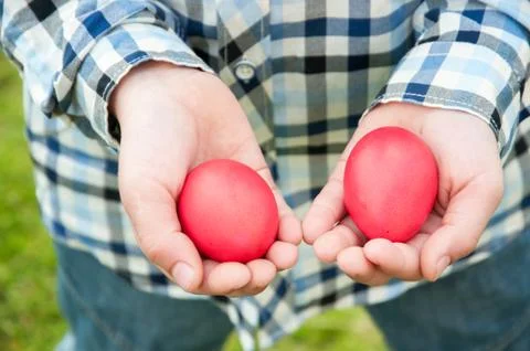 Easter hunt - two red eggs in hands Stock Photos
