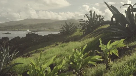 Easter Island Coastline Stock Footage 77167809