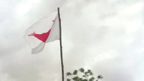 Easter Island Flag Stock Footage 77167759