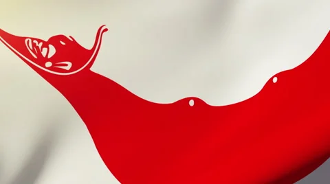 Easter Island flag waving in the wind. Looping sun rises style.  Animation loop Stock Footage 48596672