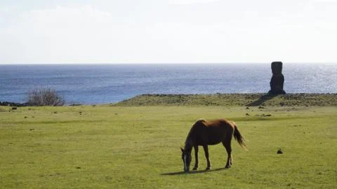 Easter Island  Moai Stock-Fotos