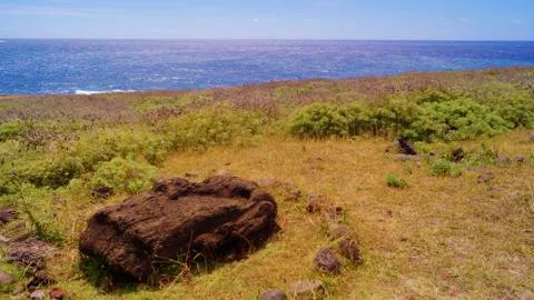 Easter Island  Moai Stock-Fotos