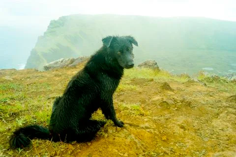 Easter Island  Polynesia Stock Photos