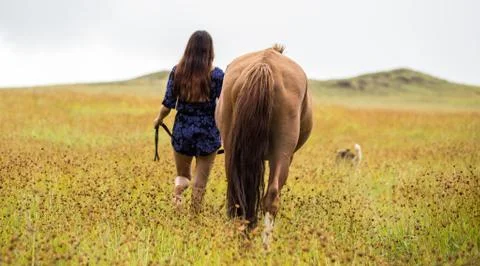 EASTER ISLAND   POLYNESIA  RAPA NUI  CHILE Foto stock