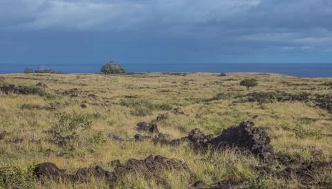 EASTER ISLAND   POLYNESIA  RAPA NUI  CHILE Foto stock
