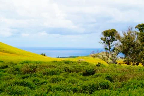 EASTER ISLAND   POLYNESIA  RAPA NUI  CHILE Stock Photos