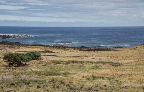 EASTER ISLAND   POLYNESIA  RAPA NUI  CHILE Stock Photos