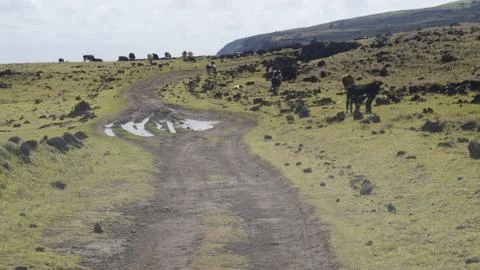 EASTER ISLAND   POLYNESIA  RAPA NUI  CHILE Stock Photos