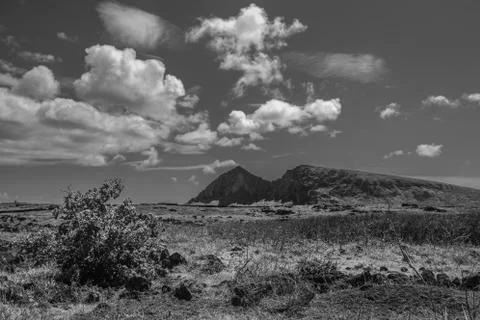 EASTER ISLAND   POLYNESIA  RAPA NUI  CHILE Foto stock