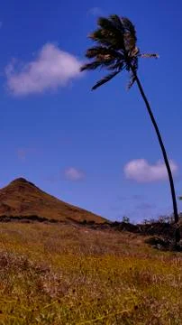 EASTER ISLAND   POLYNESIA  RAPA NUI  CHILE Foto stock