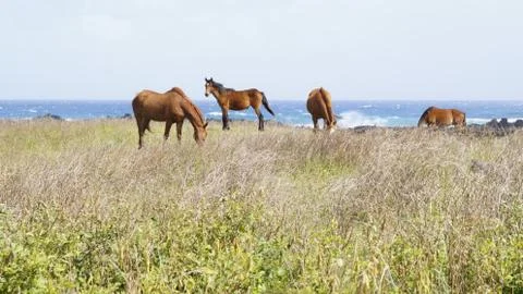 EASTER ISLAND   POLYNESIA  RAPA NUI  CHILE Stock Photos