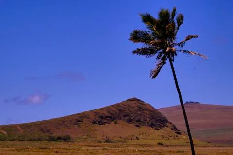 EASTER ISLAND   POLYNESIA  RAPA NUI  CHILE Foto stock