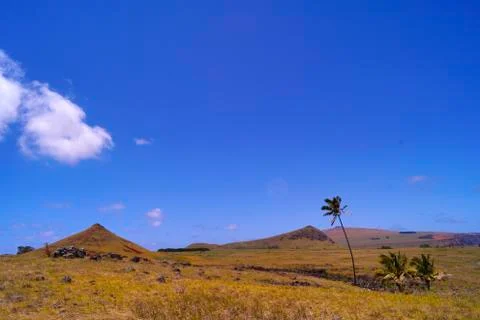 EASTER ISLAND   POLYNESIA  RAPA NUI  CHILE Stock-Fotos