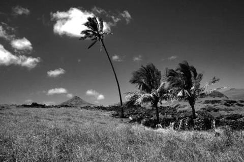 EASTER ISLAND   POLYNESIA  RAPA NUI  CHILE Stock Photos