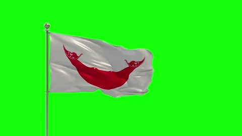 Easter Island Rapa Nui 3D Illustration Of The Waving flag On a Pole With Chroma Stock-Footage 159633964