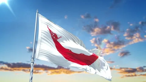 Easter Island Rapa Nui flag Waving Realistic With Sky Stock Footage 293875079