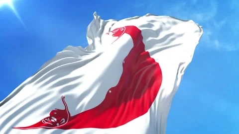 Easter Island Rapa Nui Flag Low Angle View Stock Footage 295689641