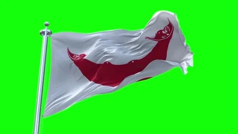Easter Island Rapa Nui  Flag Waving in Loopable and Textured green screen Stock Footage 296876619