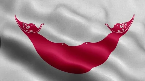 Easter Island Rapa Nui flag Front Stock Footage 318664683