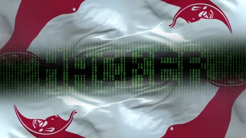 Easter Island Rapa Nui flag - Waving flag on matrix binary code background Stock Footage 321419907