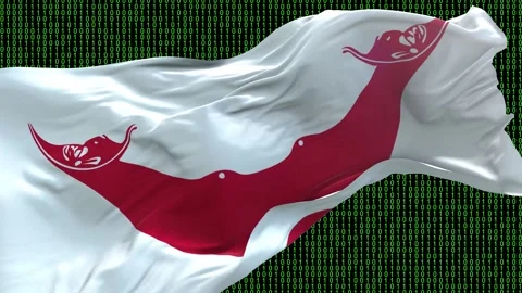 Easter Island Rapa Nui flag - Waving flag on matrix binary code background Stock Footage 321421098