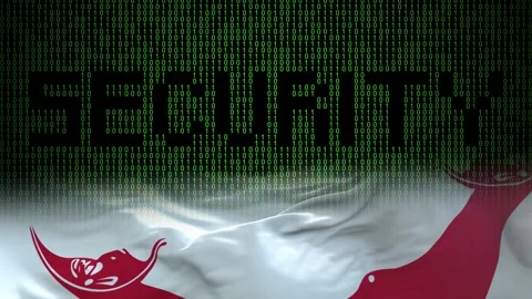Easter Island Rapa Nui flag - Waving flag on matrix binary code background Stock Footage 321422245