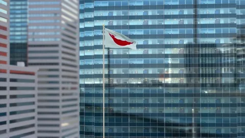 Easter Island Rapa Nui Flag 3D Render Animation Waving Against Glass Office  Stock-Footage 333079438