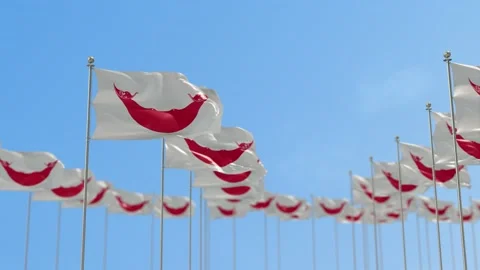 Easter Island Rapa Nui  Row Of Flags 3D Animation Stock-Footage 148659775