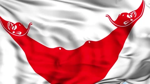 Easter Island Waving Flag Background 스톡 동영상 204137637